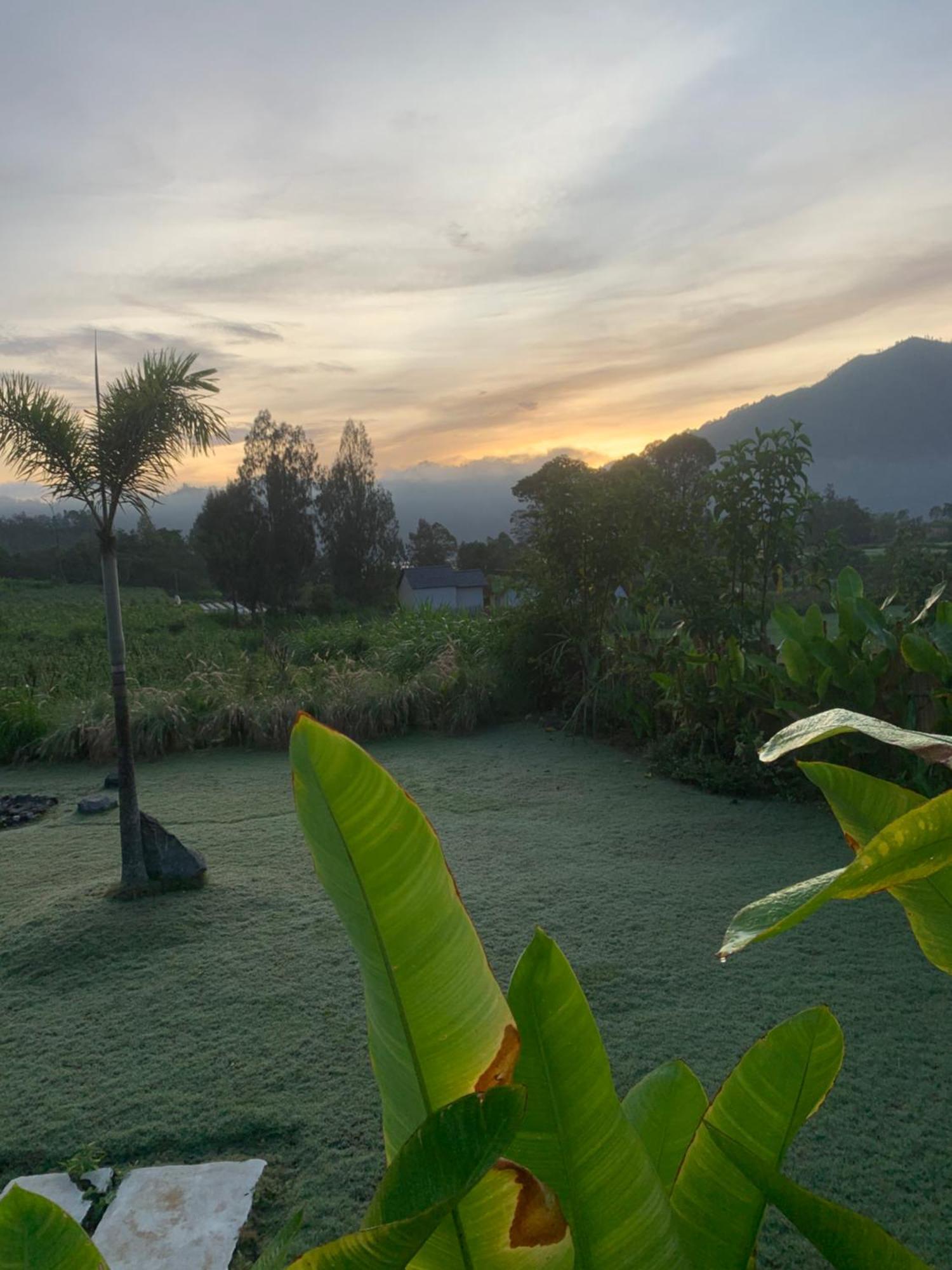 فندق Bali Lesung Kintamani المظهر الخارجي الصورة